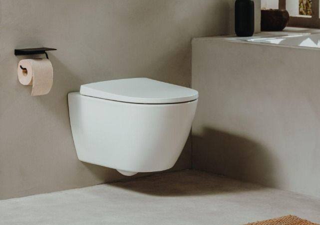 Wall-hung water closet